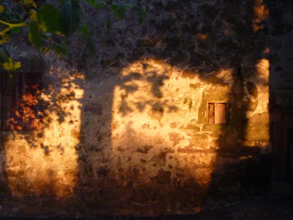 Bed and Breakfast Au Bonheur D'Alphonse Lusignan-Petit Exterior foto